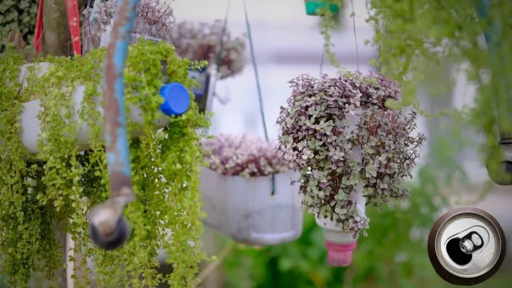 Ideas DIY Cómo hacer macetas colgantes para tus plantas con latas de aluminio.jpg