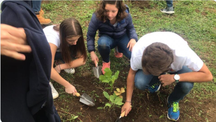 reforestación-cdmx-cop26-metano