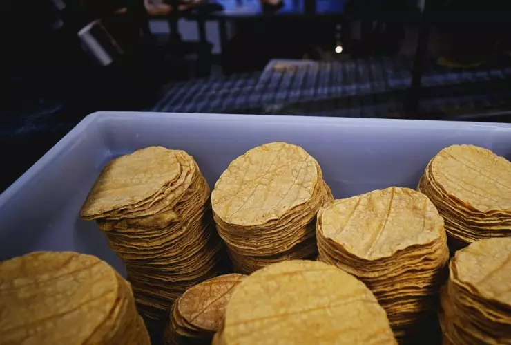 Esto te puede pasar si comes _tortillas piratas_ y cómo identificarlas