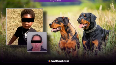 Niño ataque de perros