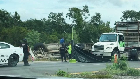 Así fue el FUERTE ACCIDENTE que dejó decenas de puercos muertos en la carretera Valladolid - Mérida