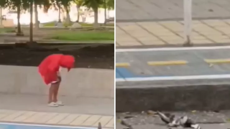 mujer arranca cabeza paloma