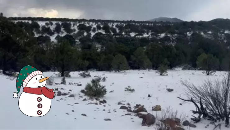 Nevada en Milpillas, Zacatecas; habrá bajas temperaturas