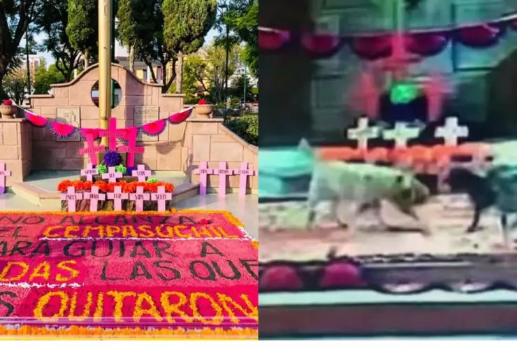 Ofrenda_Zumpango