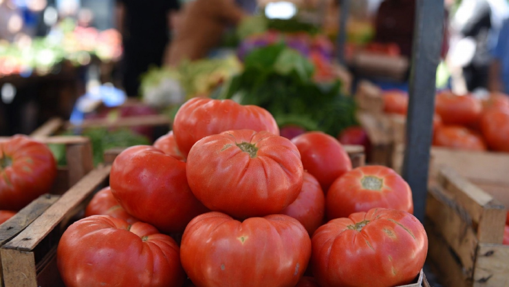 Precio kilo tomate hoy en Veracruz y mercados