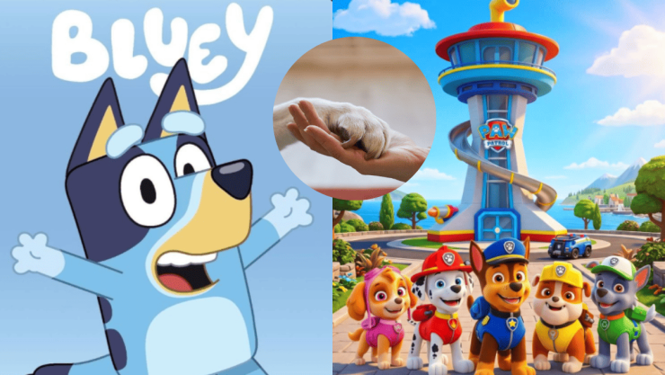 4 capitulos de ‘Paw Patrol’ y ‘Bluey’ para que los niños entiendan las responsabilidades de tener una mascota.png