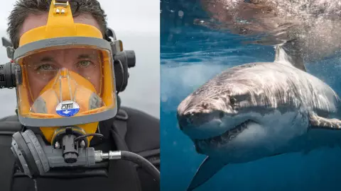 ¿Cómo está de salud? Biólogo mexicano sufre ataque de tiburón en Costa Rica; esto se sabe