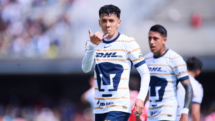 Pumas