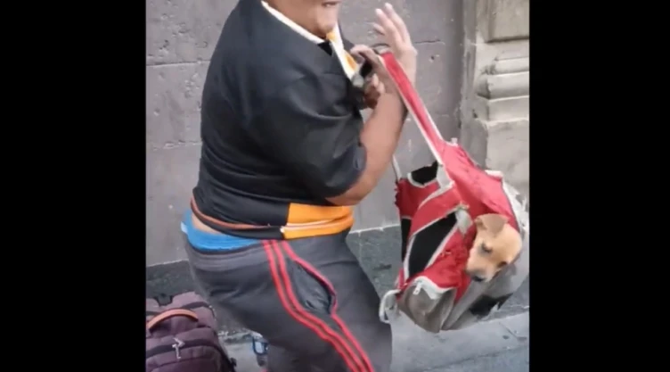 Video-acusan-a-mujer-de-dar-solventes-a-perritos-y-pedir-dinero-en-el-Centro-Histórico-de-la-CDMX