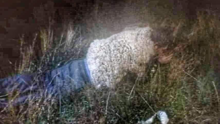 Preso se disfraza de oveja