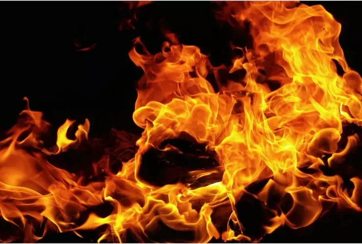 ¿Cuáles son los estados con mayor riesgo de incendios forestales en 2024 y qué le espera a Aguascalientes