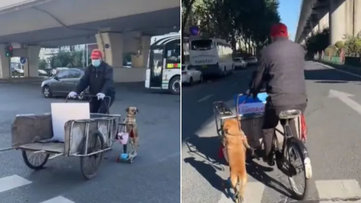 captan a perrito viajando en scooter para vender tamales.jpg