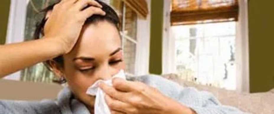 gripe