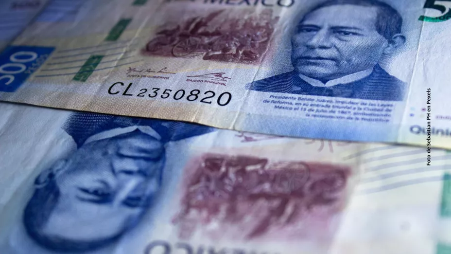 Esta es la manera sencilla de detectar un billete falso