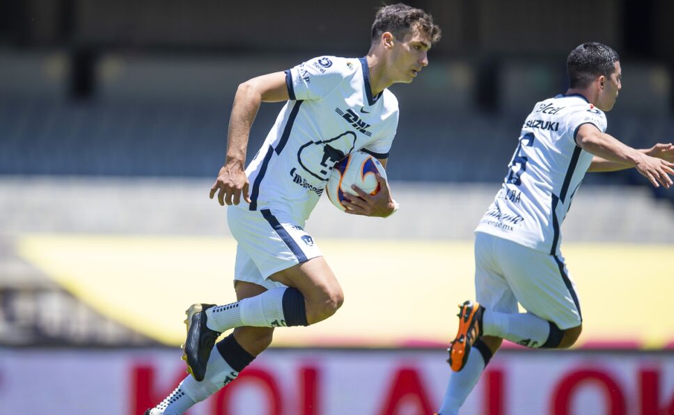 Pumas