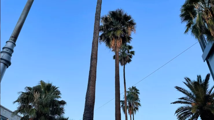 clima domingo 22.jpg