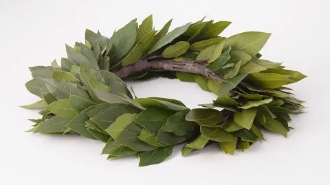 laurel atraer suerte