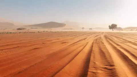 Polvo del Sahara a México en 2024