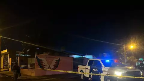 aseguran droga predio tixcacal