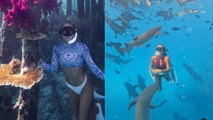 VIDEO | ¡IMPACTANTE! Influencer es atacada por un tiburón mientras hacia una grabación