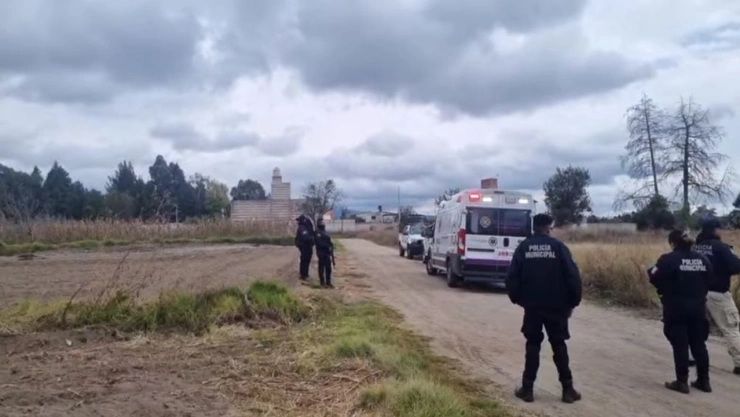 jauría de perros en Xiloxoxtla