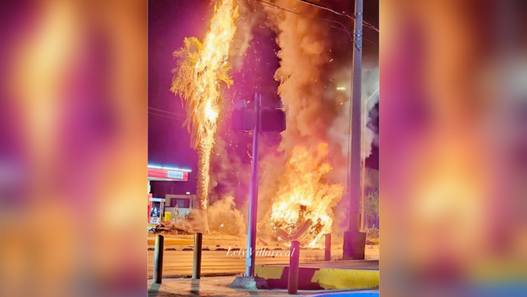 avenida tecnológico