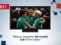 30-AÑOS-recuento-hechos_2011_01_1.jpg