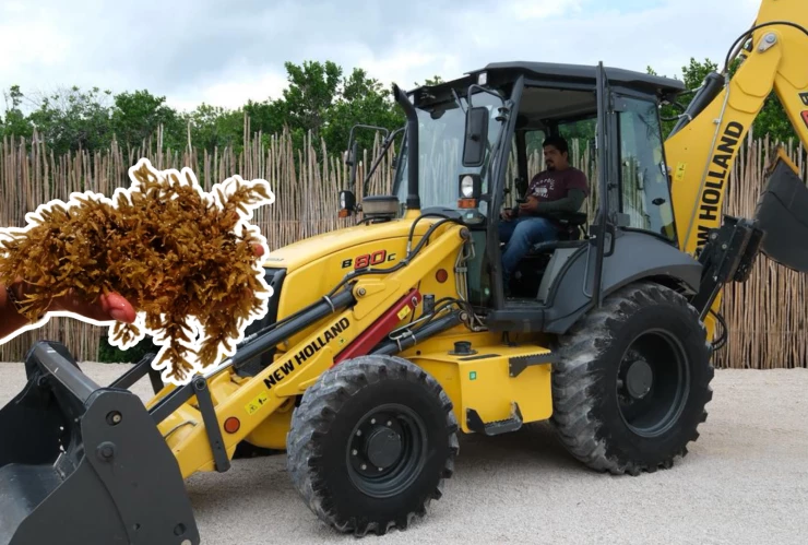 Entregan en Mahahual equipo nuevo para limpieza de sargazo; temporada finalizó con éxito el 18 de noviembre.webp