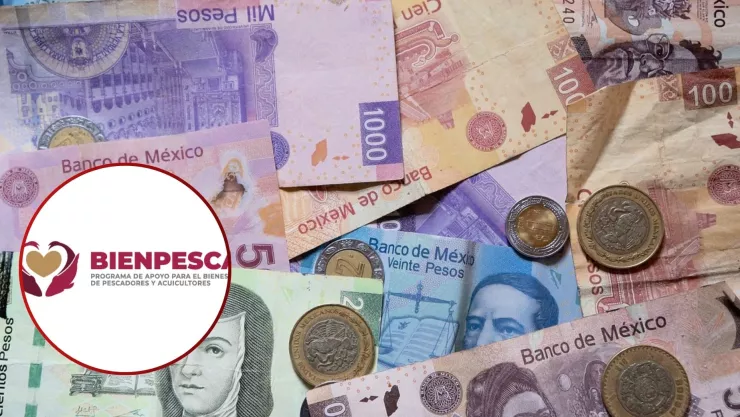 ¿Quiénes pueden recibir los 7,500 pesos del apoyo Bienpesca 2025?.jpg