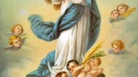 asuncion de la virgen maria