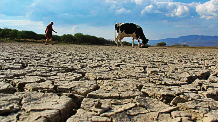La sequía en México afectará la producción de productos agrícolas.