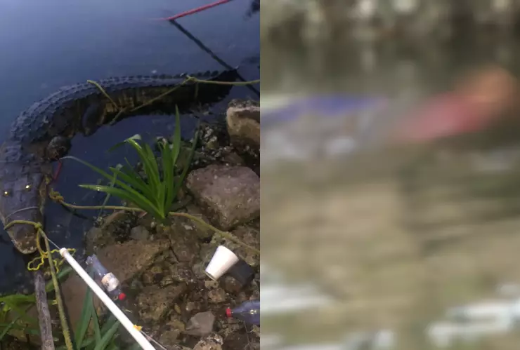 Mujer murió tras ser atacada por un cocodrilo