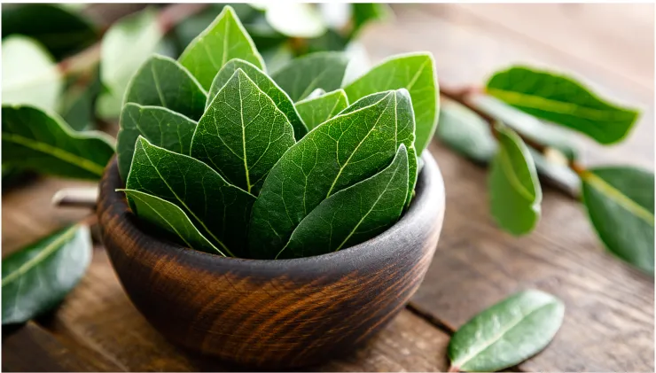 ritual hoja de laurel