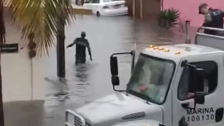 floresta veracruz.