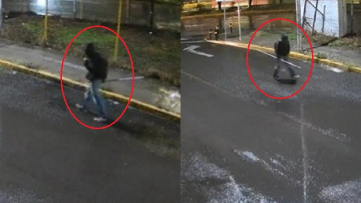 ladrón de cámaras Mayorazgo