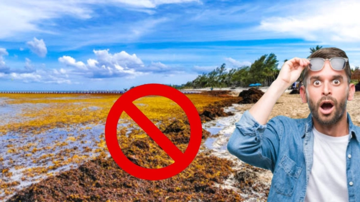 Las 2 playas de Yucatán donde NO hay sargazo