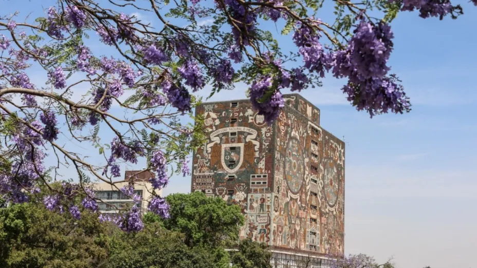 UNAM_CO.jpg