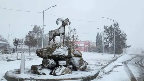 Caída de Nieve en La Rumorosa
