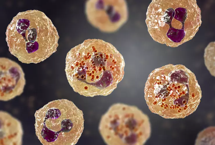 Aumentan a 21 las muertes en Durango por meningitis