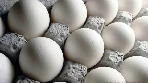 Cuántos huevos puedes comer a la semana para que sea saludable