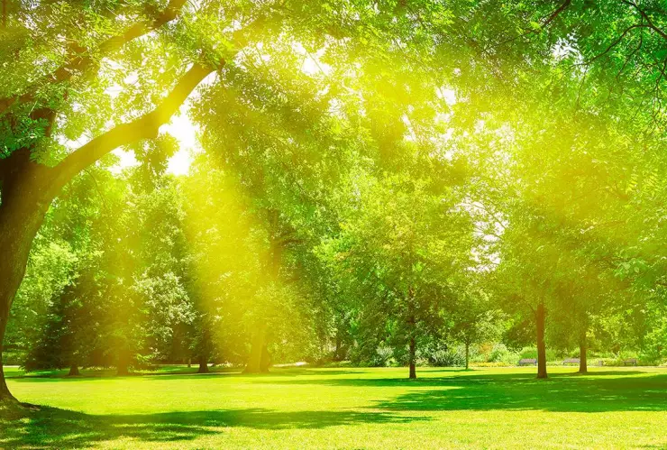 Calidad del aire en Guanajuato.