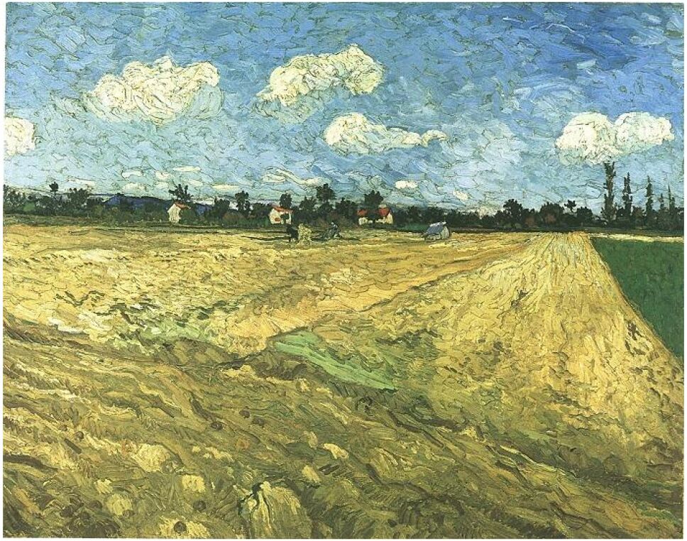 Campo-arado.jpg
