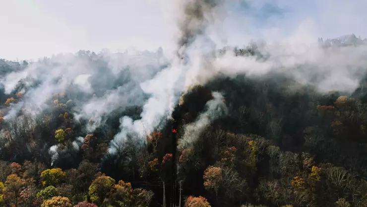 Incendio forestal Los Ángeles