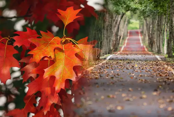 ¿Cuándo empieza el otoño y deja de hacer calor?