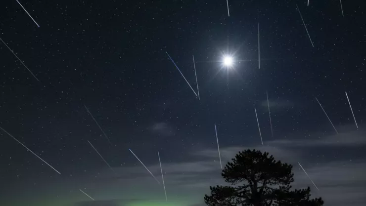Lluvia de estrellas Úrsidas 2025: fechas, horarios y cómo observarla del 17 al 26 de diciembre