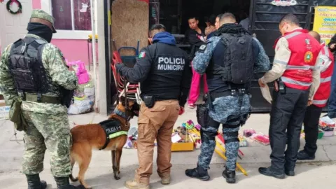 Agentes caninos de Torreón detectan 36 kilos de pirotecnia