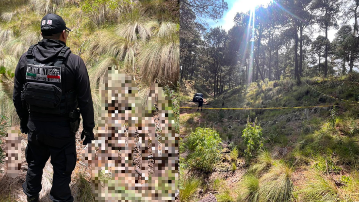 Senderista halla restos óseos en el Parque Nacional Iztaccíhuatl-Popocatépetl: Despliegan operativo en Amecameca, Edomex
