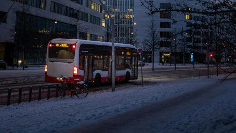 muerto parada autobús houston texas