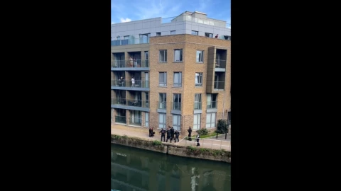 Policía de Londres mata a dos perros a tiros