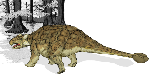 Dinosaurio, armadura, especie a.png